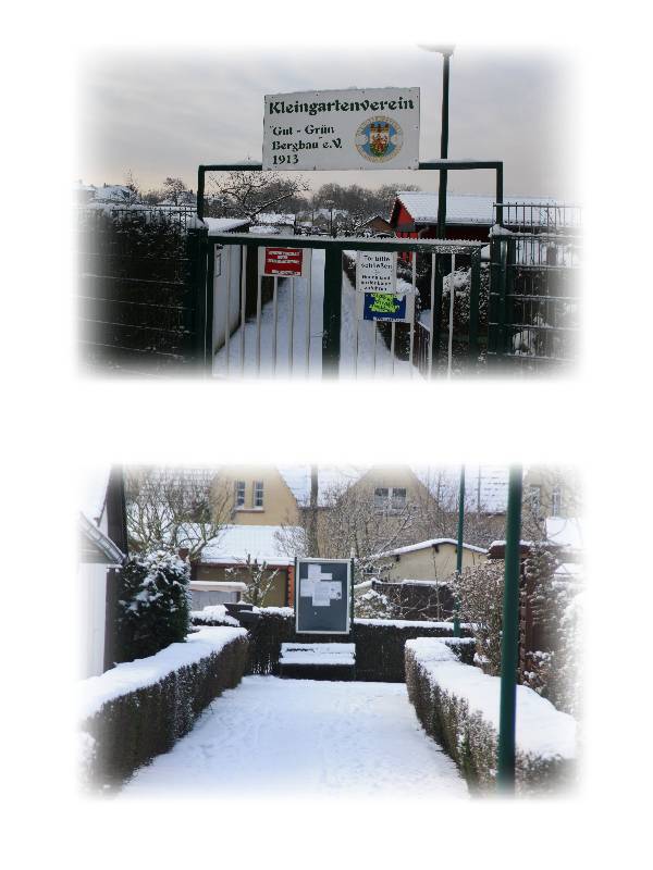 Schrebergarten-Winter1