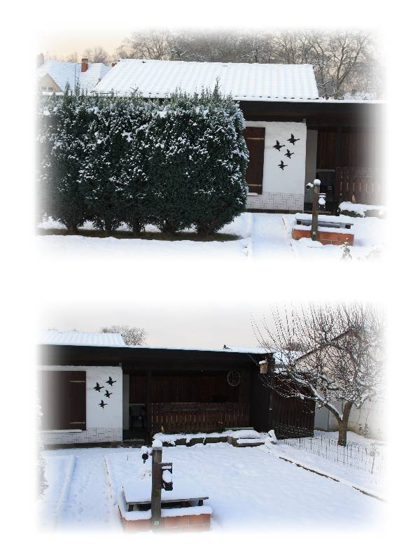 Schrebergarten-Winter2