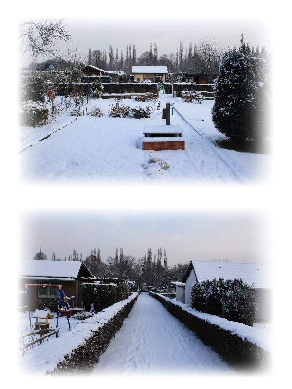 Schrebergarten-Winter3