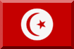 flagge-tunesien-flagge-button-70x105